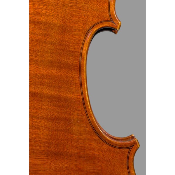ADP Strad violin back C bout_1701