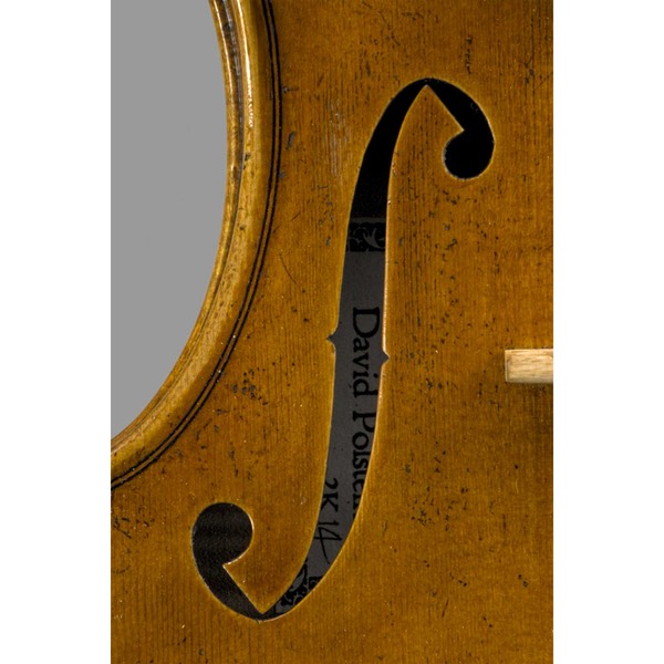 Photo of Late Del Gesu model violin bass f hole