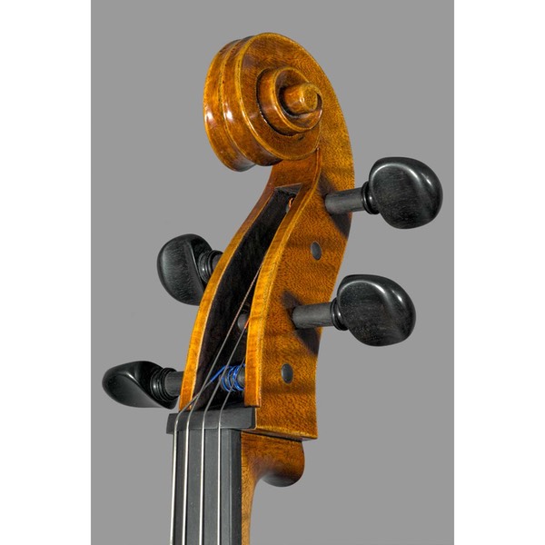Photo of Polstein & White Gofriller model 'cello scroll 3/4 view