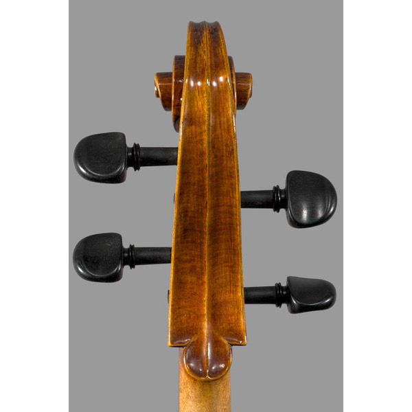 Photo of Polstein & White Gofriller model 'cello scroll back